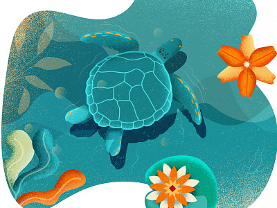 Turtle colorful design flowers illustration lac landscape lotus natural nature vector