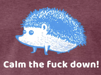 Calm Hedgehog funny tee shirt
