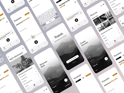 Transit, Translation for Travelers app design ui ux