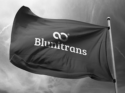 Blunitrans Branding logistic luxury premium services