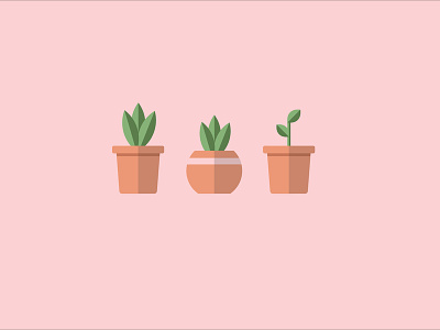 pot of plants background design flat illustration plants pot vector