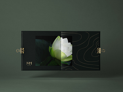 Branding for Flower Boutique 811