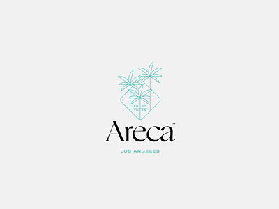 Areca branding cannabis logo weed