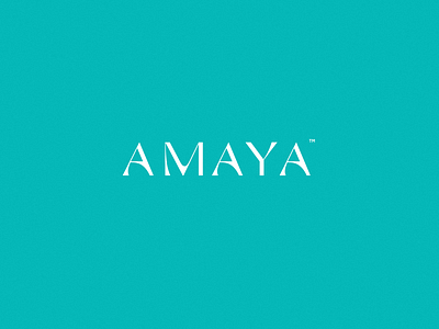 amaya branding logo typogaphy typography