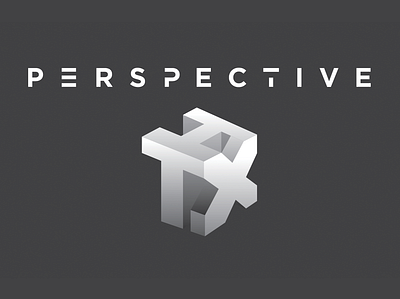 Perspective HTX Branding brand design branding design houston identity identity design illustration logo logo design media photography texas typography