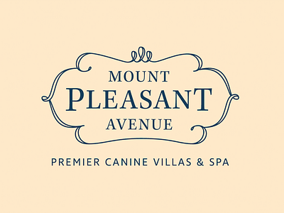 Mount Pleasant Avenue Rebrand
