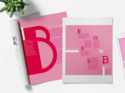 BB in Bern design poster typography vector