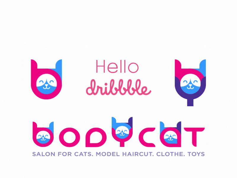 Bodycat animation branding design flat identity illustration illustrator lettering logo minimal type typography