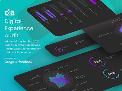 Digital Experience Audit