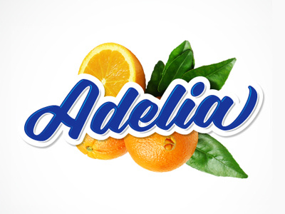 Adelia bold brush clothing lettering logo marker packaging script sign painting vintage