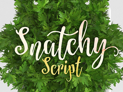 Snatchy Script