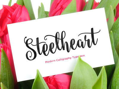 Steelheart handmade lettering brush watercolor calligraphy cursive script ink bounced elegant modern contemporary