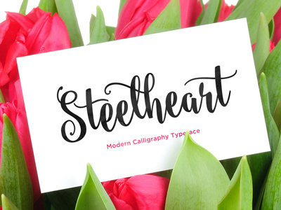 Steelheart bounced brush calligraphy contemporary cursive elegant handmade ink lettering modern script watercolor