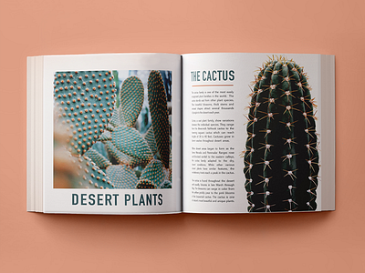 Desert Book Spread book desert design graphic design indesign layout layoutdesign magazine print design publication design spread typogaphy
