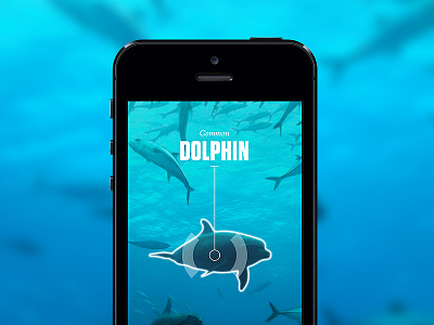 Anipedia app augmented blue concept deep education fish iphone reality scan sea stalk