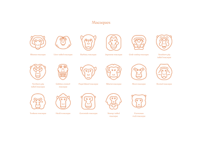 Monkeys Series Pt 1 figma icon iconography illustration