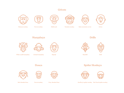 Monkeys Series Pt 3 figma icon iconography illustration