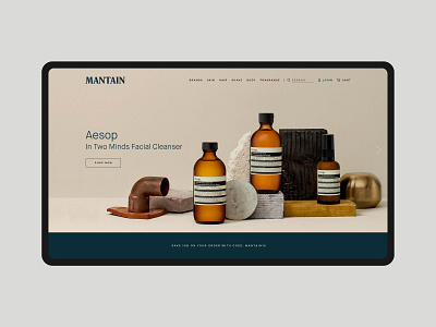 Mantain Visual Identity & Website