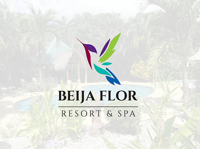 Beija Flor: Resort & Spa branding logo typography vector