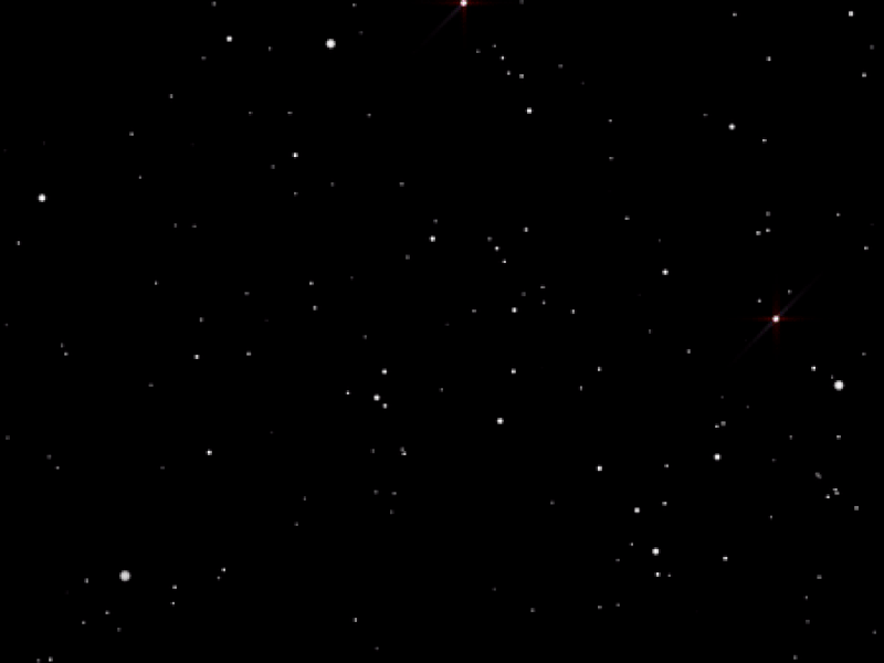 among us is sus by Nikki Shyuan on Dribbble