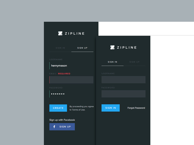 Zipline Sign in & Sign Up application clean create account desktop flat log in sign in sign up ui web