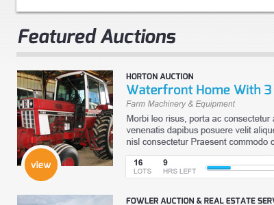 Auction Site Homepage auction bidding interface user experience