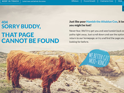 404 Page 404 blog cow hamish highland website