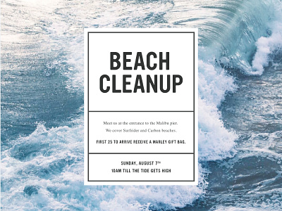 Beach Cleanup Flyer beach flyer