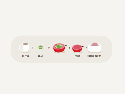 Coffee Flour coffee coffee cherry illustration infograph