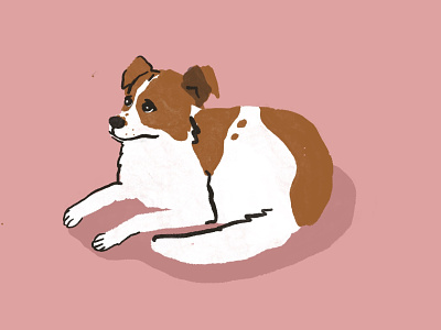 Guilty Pupper Doggo cute animals dog illustration procreate