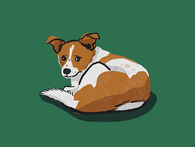 Scared Pupper Doggo cute animal dog illustration procreate