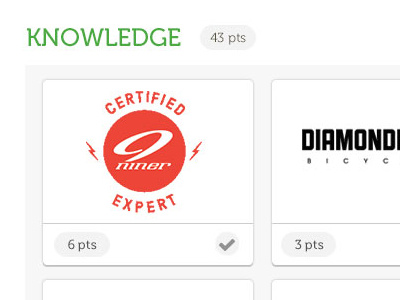 Expert Profile - Knowledge badge brand card certified diamondback expert game niner point profile ui ux