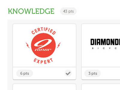 Expert Profile - Knowledge