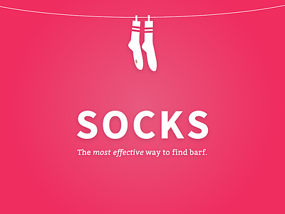 The truth about socks