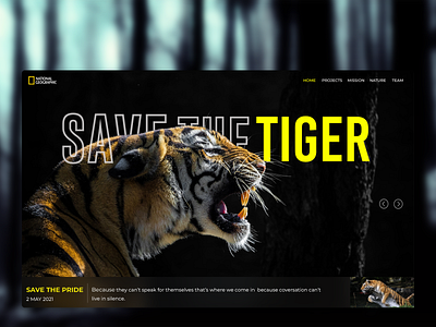 Save The Tiger Website Design