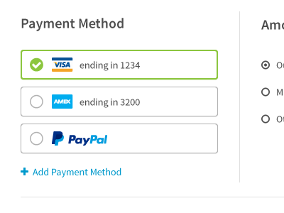 Payment amex payment paypal select visa