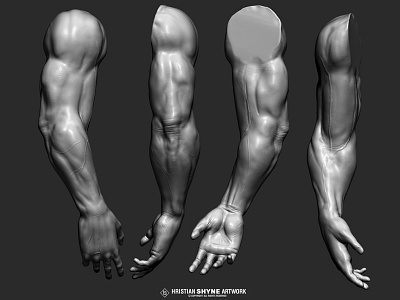 Arm muscles study 3d muscles photoshop shyne study zbrush