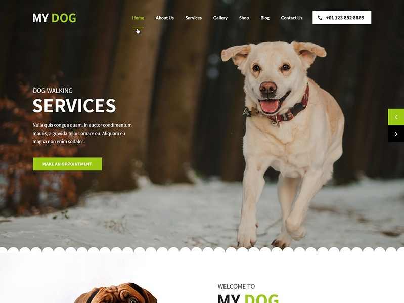 Best Pet site template by WP Themes on Dribbble