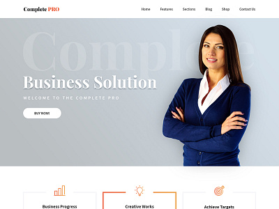 Complete Simple Template and Design for Advanced Websites design web web design website wordpress wordpress blog wordpress development wordpress templates wordpress theme