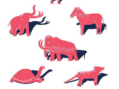 Extinct Animals Final awareness endangeredspecies female illustrator illustration posterdesign vector