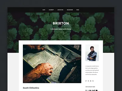 Brixton clean cover csshtml minimalistic modern parallax parallax scrolling sidebar themes tumblr tumblr themes web design