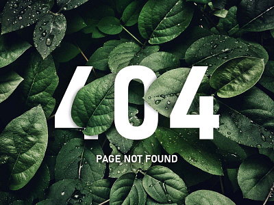 404 - Page Not Found 404 error layout layout design pagenotfound web website