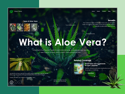 Aloe Vera layout design mockup photoshop website