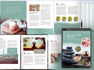 e book design branding ebook cover ebook design ebook layout ecommerce design graphicdesign healthcare photoshop print template wellness