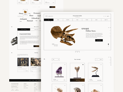 PALEO HUNTERS | Online store design figma homepage main page online shop online shopping online store ui ux web