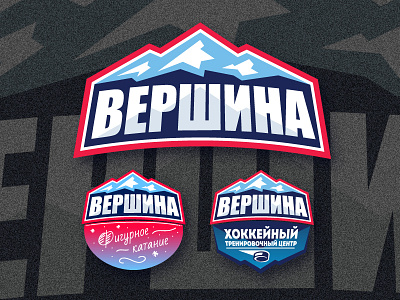 МСК ВЕРШИНА branding hockey icehockey logo vector