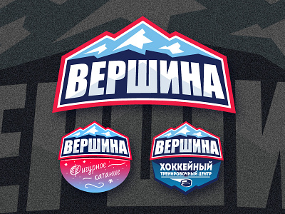 МСК ВЕРШИНА