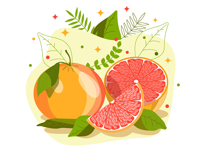 grapefruit design illustration vector