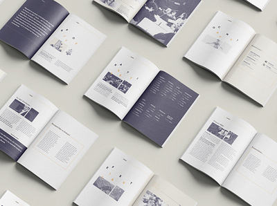 Brochure Orchester branding design designer graphicdesign illustration illustrator indesign layout layoutdesign photoshop print print design typography