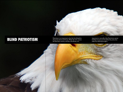 Blind Patriotism art direction typography
